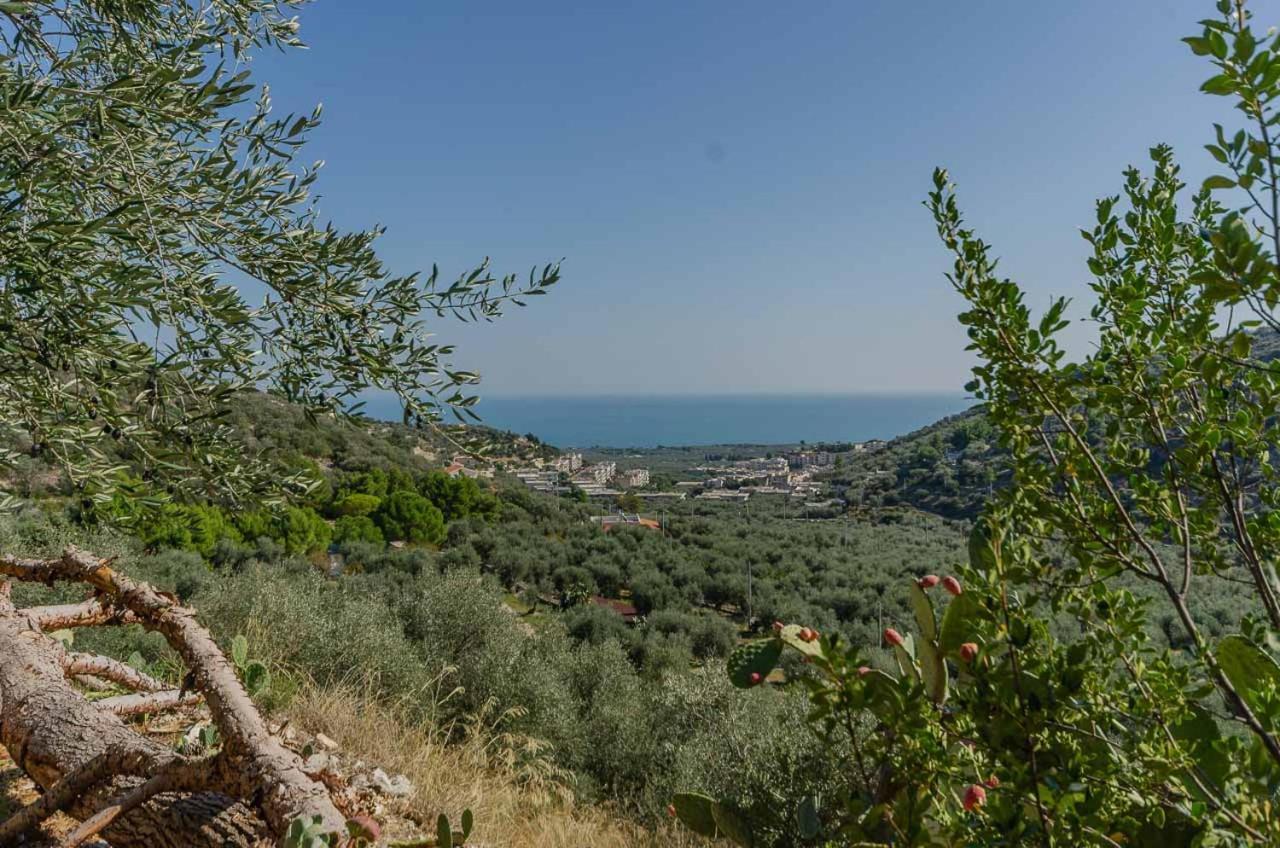 Agriturismo Madonna Incoronata Маттината Экстерьер фото