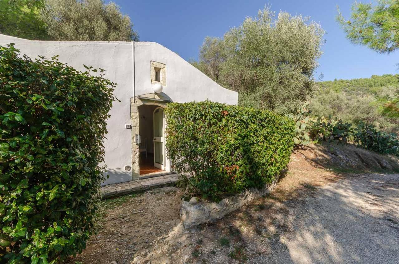 Agriturismo Madonna Incoronata Маттината Экстерьер фото