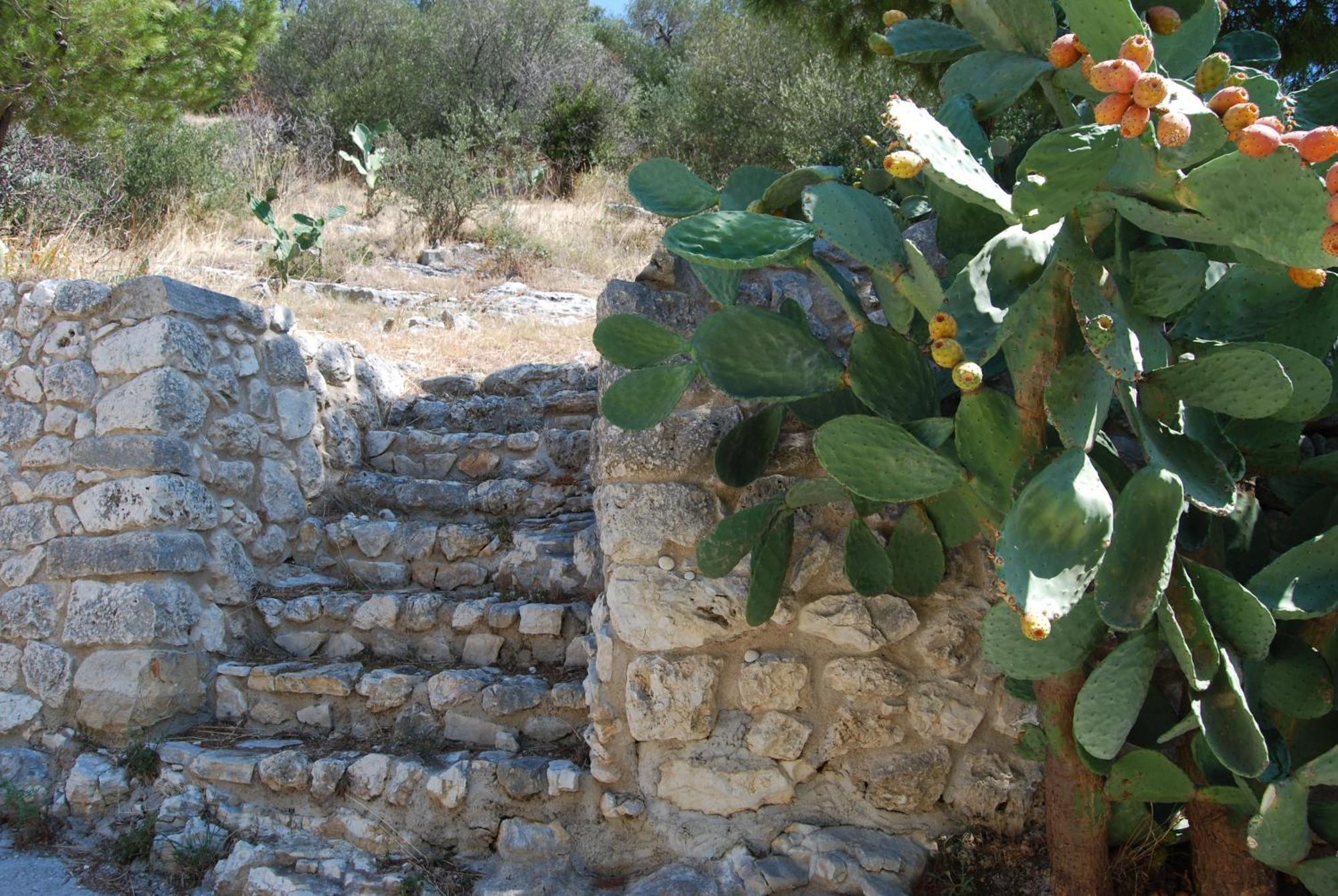 Agriturismo Madonna Incoronata Маттината Экстерьер фото